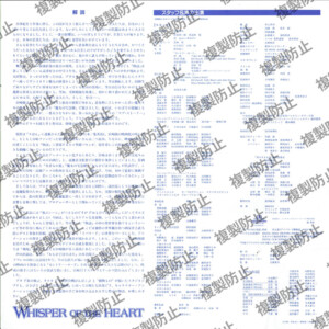 ライナーノーツ 裏